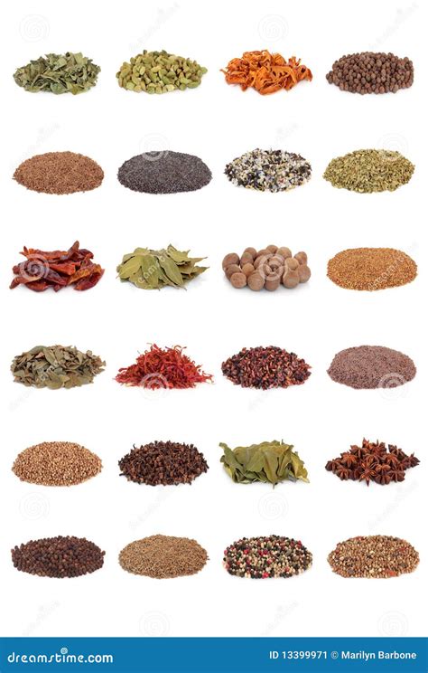 Spice and Herb Collection stock image. Image of large - 13399971
