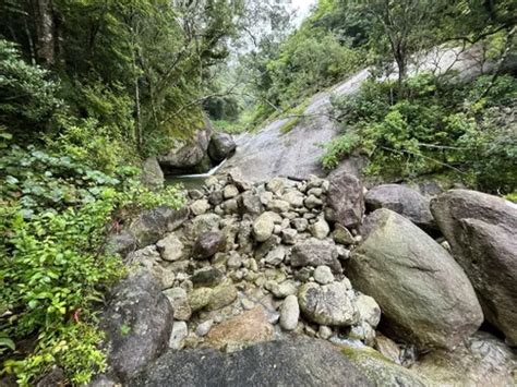 10 Best Hikes and Trails in Yakushima National Park | AllTrails