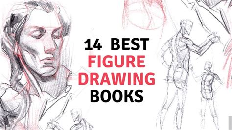 14 Best Figure Drawing Books For Beginners And Professionals