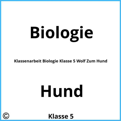 Biologie 5 Klasse Gymnasium Klassenarbeit