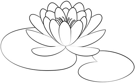 Printable Lily Pad Template