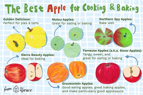 Guide to 18 Apples Varieties