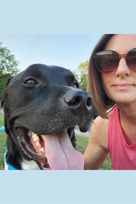 About DCHS — Dunn County Humane Society