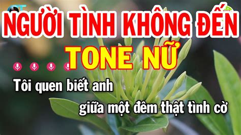 Karaoke Người Tình Không Đến Tone Nữ La Thứ Nhạc Sống Hay Nhất 2023