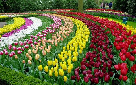 Da Lat Flower Gardens - Viet Challenge Tours - Vietnam Adventure Tours