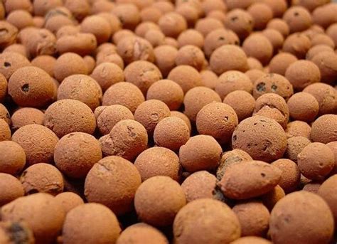 HYDROTON Clay Pebbles Growing Media Expanded Clay Rocks You Save Choose