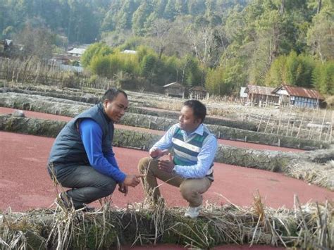 Tarin Fish Farm Ziro 2020 All You Need To Know Before You Go With