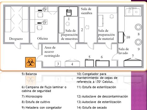 Montaje y Operación de un Laboratorio Microbiológico ppt video online