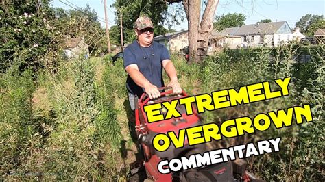 INSANELY OVERGROWN YARD CLEAN UP FREE YouTube