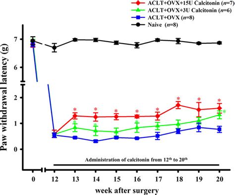 Time Course Of The Anti Allodynic Effect Of Calcitonin In Aclt Induced Download Scientific