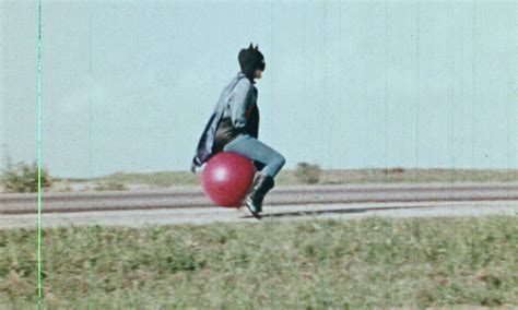 American Genre Film Archive BAT PUSSY Reissue