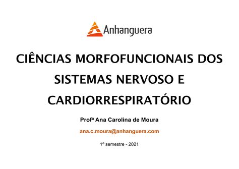 1 2 Aula Morfo Neuro CiÊncias Morfofuncionais Dos Sistemas Nervoso E