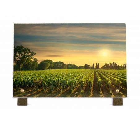 Plaque Fun Raire Vignes Plaque D C S Motif Champ De Vignes