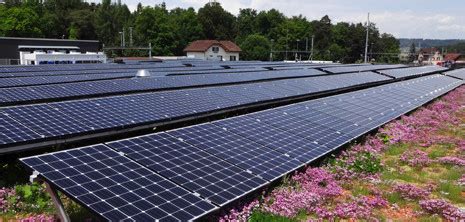 Gründach Systemlösungen Photovoltaik