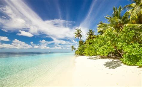 Explore Indo-Fijian Culture in Fiji for FREE