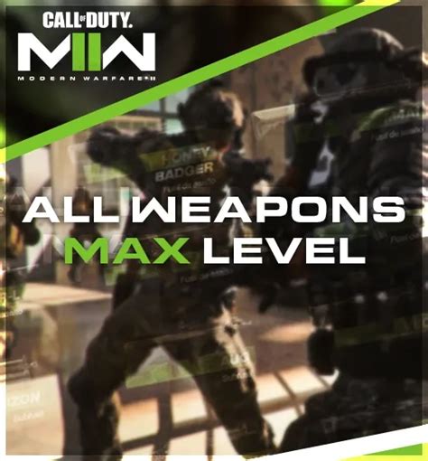 Call Of Duty Modern Warfare 2 All Weapons Max Level