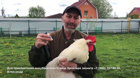 САМЫЙ ПРОСТОЙ СПОСОБ ИЗБАВЛЕНИЯ ОТ КОЖНЫХ ПАРАЗИТОВ У ПТИЦ - YouTube