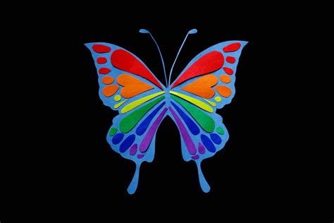 Rainbow Butterfly Photos, Download The BEST Free Rainbow Butterfly ...