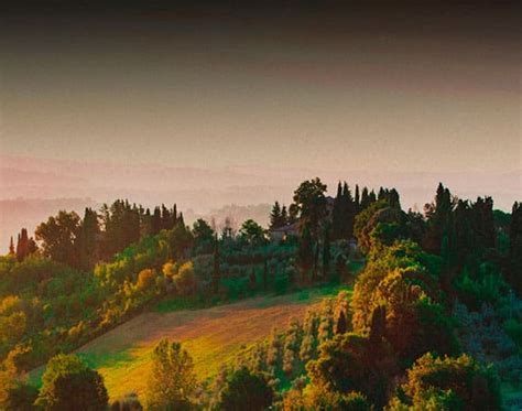 Secoli di esperienza nell'olio extra vergine - Carapelli