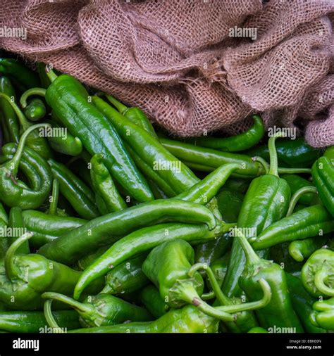 Green Jalapeno Peppers Stock Photo Alamy