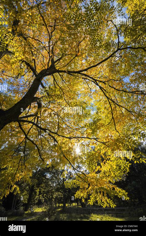 Downhills Park Hi Res Stock Photography And Images Alamy