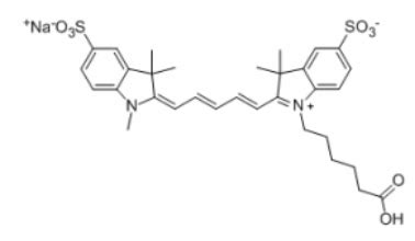 Sulfo Cyanine5 Carboxylic acids 水溶性花菁染料CY5标记羧基 1121756 16 8