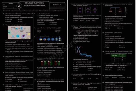 Fen Bilimleri 7 Sınıf 1 Dönem 2 Yazılı Soruları Cevap Anahtarlı 2023