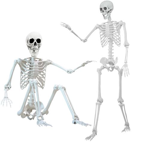 Mua 5 4 Ft Halloween Skeleton Poseable Skeleton Life Size Skeleton Full