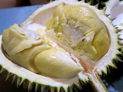 10 Weird And Delicious Foods In Thailand