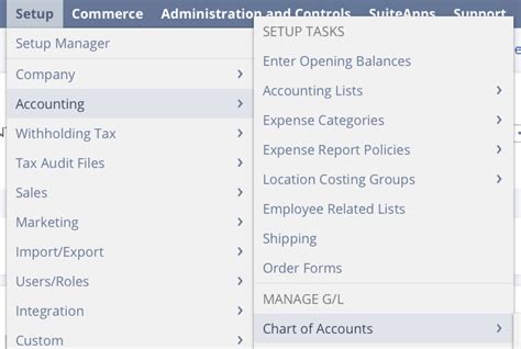 Netsuite Chart Of Accounts Best Practices And Guide Seller