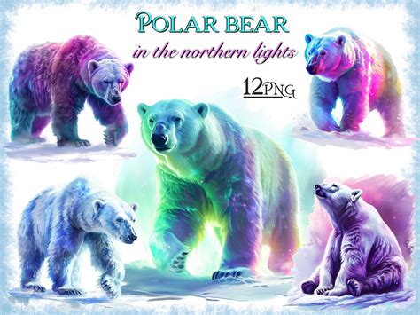 Polar Bear in Northern Lights PNG Bundle Graphic by FantasyDreamWorld ...