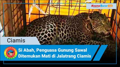 Si Abah Penguasa Gunung Sawal Ditemukan Mati Di Jalatrang Ciamis Youtube