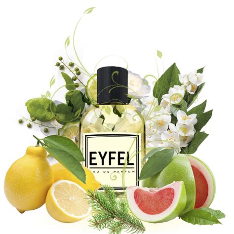 U31 UNISEX PARFÜM I Eyfel Parfüm