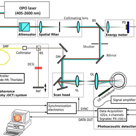 Schematic Of The Integrated Photoacoustic Microscopy And Optical