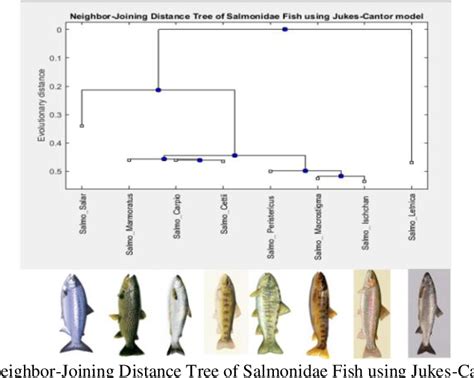 Figure 1 from PHYLOGENETIC ANALYSIS OF ENDEMIC FISH SPECIES OF OHRID ...