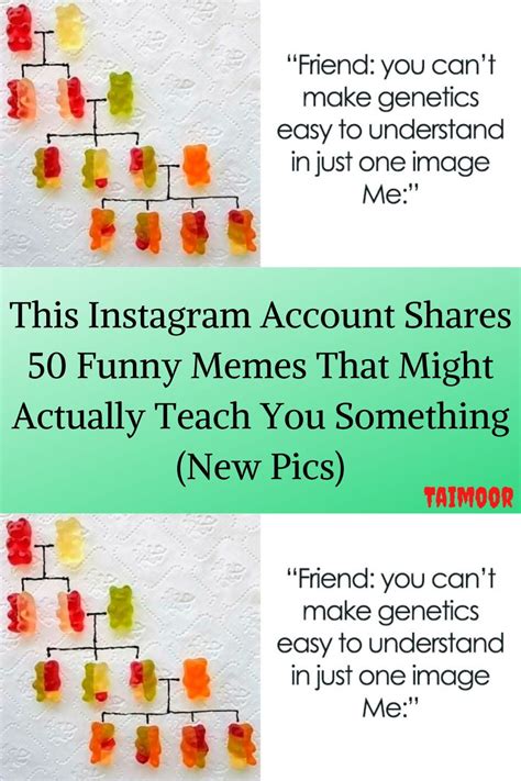 This instagram account shares 50 funny memes that might actually teach ...