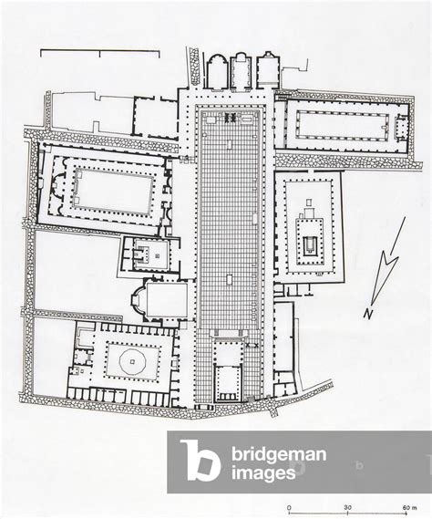 Image of Reconstruction of plan of Forum of Pompeii, drawing, Roman ...