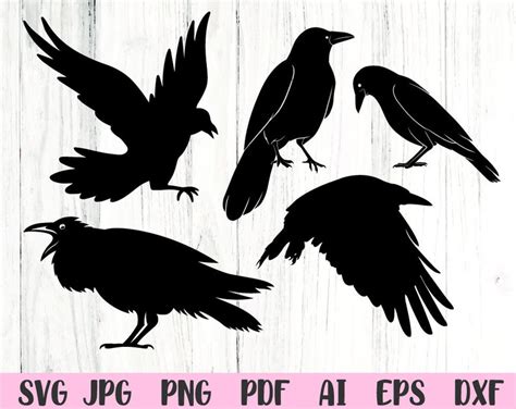 Crow Svg Raven Svg Halloween Svg Svg Files For Cricut Svg Bird Etsy