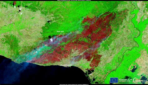 Gli Incendi In Grecia Dallo Spazio I Pi Grandi Che Lue Abbia Mai