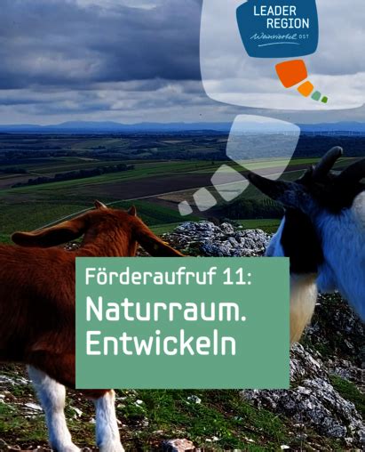 Aktuelle Förderaufrufe LEADER Region Weinviertel Ost