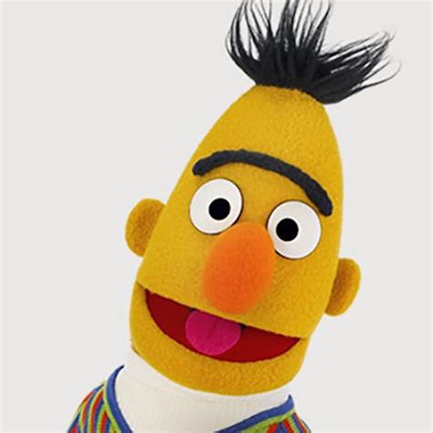 Bert