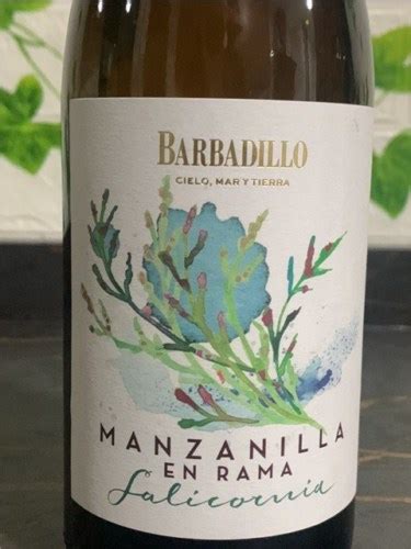 Barbadillo Manzanilla En Rama Salicornia | Vivino US