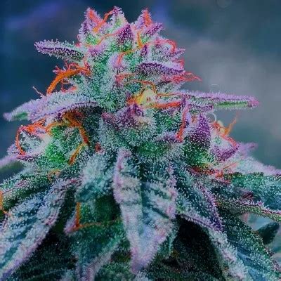 The Unpleasant Surprise Solution: 5+ Ways To Eradicate Onion Breath