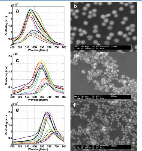 Figure 3 From Morphology Dependent Voltage Sensitivity Of A Gold