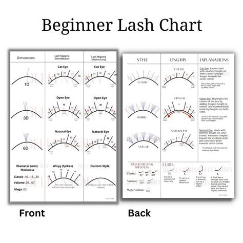 Bellemory Lash Sponge And Mapping Charts Lashes Eye Shape Chart