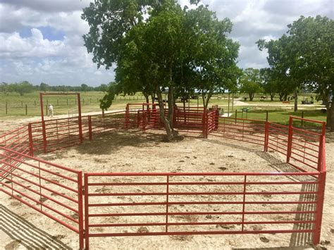 Custom Cattle Handling System 4 | BrinTough Equipment, Inc. Texas