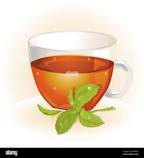 Glass Cup Of Tea With Mint Stock Vector Image Art Alamy