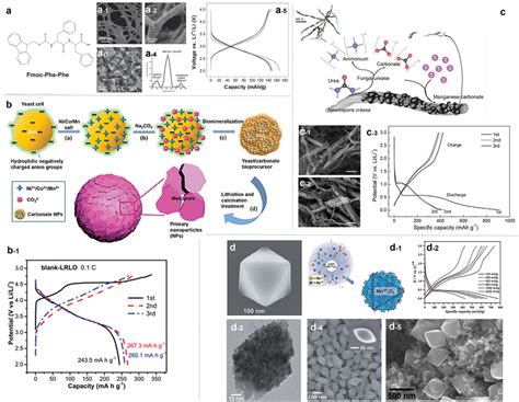 A Fmocdiphenylalanine To Enable Selfassembly A1 SEM And A2 TEM