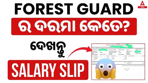 OSSSC Forest Guard in hand Salary କତ YouTube