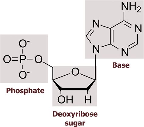 Phosphate Group Structure